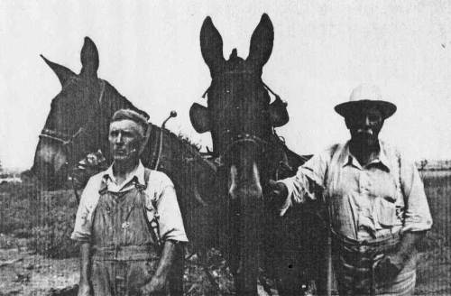 04 John and Greenberry Sr. Pope with team of Mules