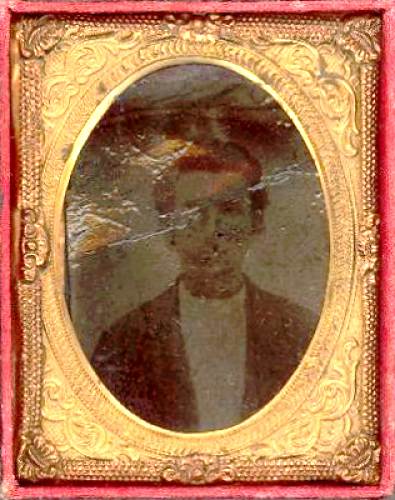 02 Absalom Bear War Photo