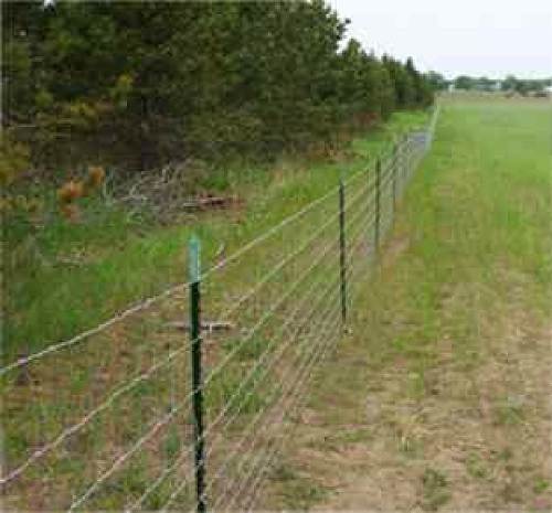 09 Metal Post Barbed Wire Fence